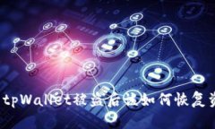 优质tpWallet被盗后该如何恢