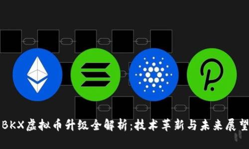 BKX虚拟币升级全解析：技术革新与未来展望
