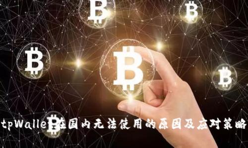 tpWallet在国内无法使用的原因及应对策略