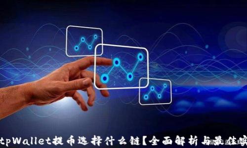 
往tpWallet提币选择什么链？全面解析与最佳实践
