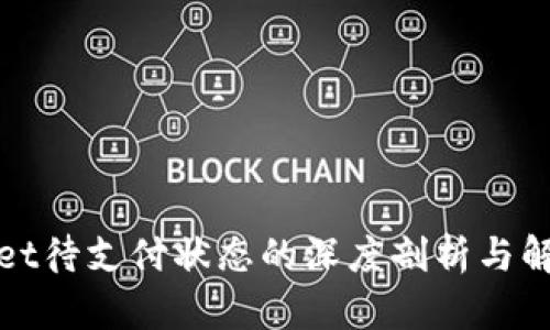 tpWallet待支付状态的深度剖析与解决方案