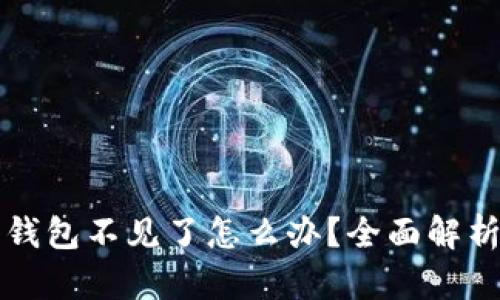 虚拟币导入钱包不见了怎么办？全面解析与解决方案