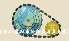 探索XP虚拟币的潜力与未来