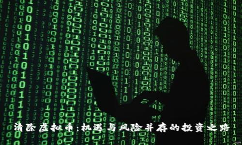 清除虚拟币：机遇与风险并存的投资之路