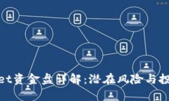 tpWallet资金盘详解：潜在风