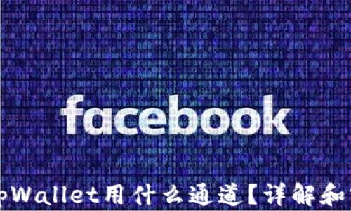 
提币到tpWallet用什么通道？详解和实用指南