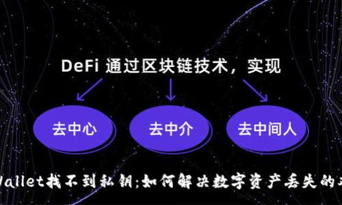 :
tpWallet找不到私钥：如何解决数字资产丢失的难题