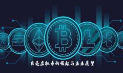 贝壳虚拟币的崛起与未来