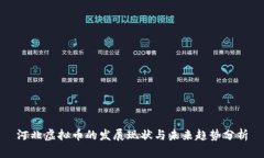 河北虚拟币的发展现状与