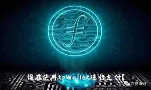 谁在使用tpWallet进行支付？