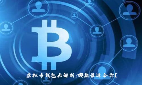 虚拟币钱包大解析：哪款最适合你？