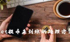  tpWallet提币未到账的处理