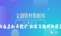 湖南虚拟币挖矿：机遇与挑战的博弈