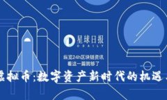 内存虚拟币：数字资产新时代的机遇与挑战