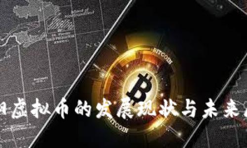 沈阳虚拟币的发展现状与未来展望