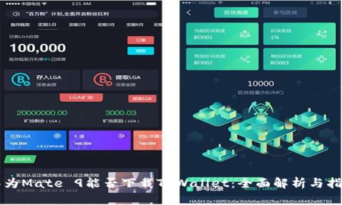 华为Mate 9能否下载TPWallet：全面解析与指导