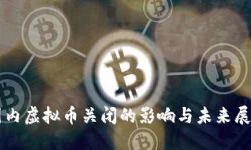 国内虚拟币关闭的影响与未来展望