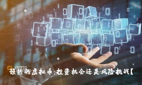 预热的虚拟币：投资机会还是风险挑战？