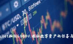 tpWallet抽到6000U：揭秘数字