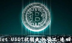 如何应对tpWallet USDT被转走