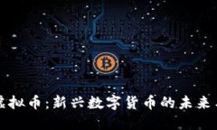 毕甲虚拟币：新兴数字货币的未来与挑战