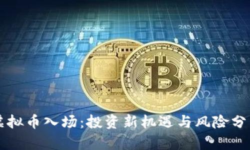 虚拟币入场：投资新机遇与风险分析