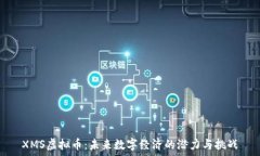   XMS虚拟币：未来数字经济