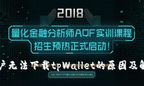苹果用户无法下载tpWallet的原因及解决方案