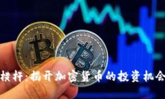 虚拟币横杆：揭开加密货币的投资机会与风险