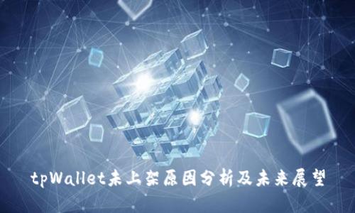tpWallet未上架原因分析及未来展望