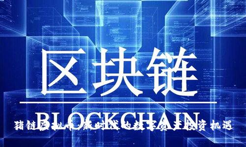 猪链虚拟币：新时代的数字资产投资机遇