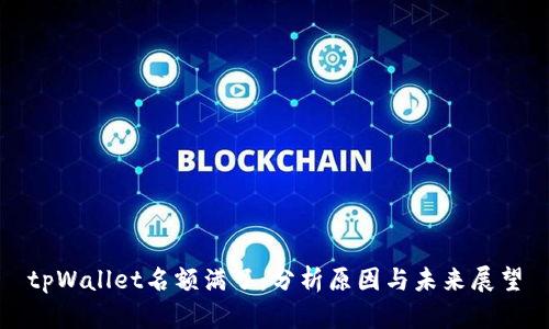 tpWallet名额满了：分析原因与未来展望