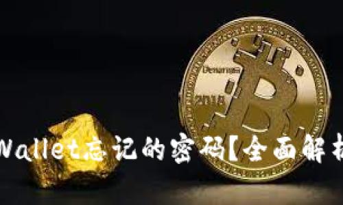 如何恢复tpWallet忘记的密码？全面解析及实用指南