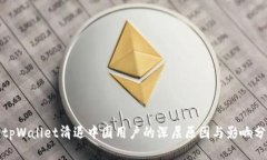 : tpWallet清退中国用户的深