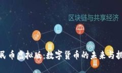 人民币虚拟版：数字货币的未来与挑战