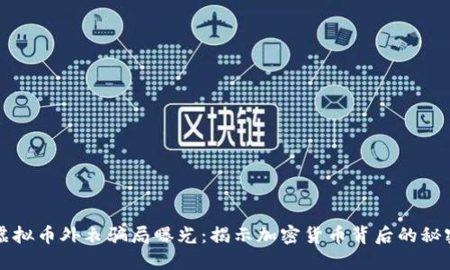 虚拟币外衣骗局曝光：揭示加密货币背后的秘密