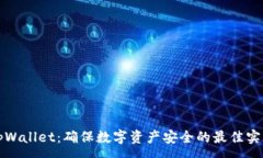 :tpWallet：确保数字资产安全的最佳实践