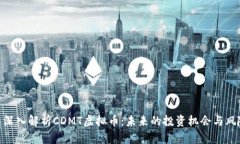 : 深入解析CDMT虚拟币：未来的投资机会与风险