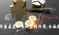 如何查看虚拟币的实时行情：全面指南