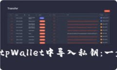  如何在tpWallet中导入私钥：一步步指南