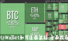 tpWallet如何连接波场：全面指南