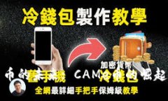 虚拟货币的未来: CAMe币的崛起与机遇