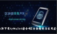 大陆下载tpWallet安全吗？全面解析与使用建议