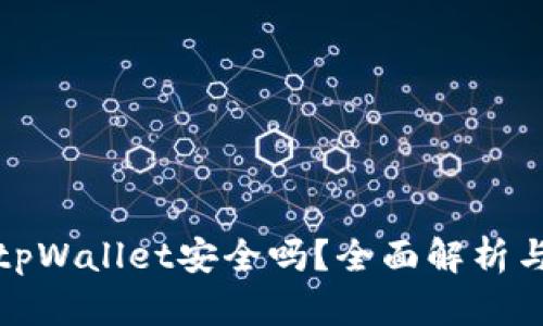 大陆下载tpWallet安全吗？全面解析与使用建议