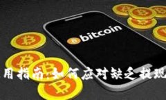 tpWallet使用指南：如何应对缺乏提现功能的情况