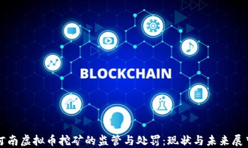 
河南虚拟币挖矿的监管与处罚：现状与未来展望