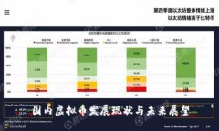 国内虚拟币发展现状与未来展望