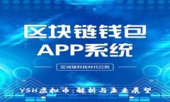 YSH虚拟币：解析与未来展望