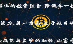 xiaoti虚拟币山寨：加密货币背后的风险与机遇/