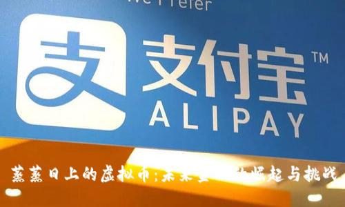 蒸蒸日上的虚拟币：未来金融的崛起与挑战
